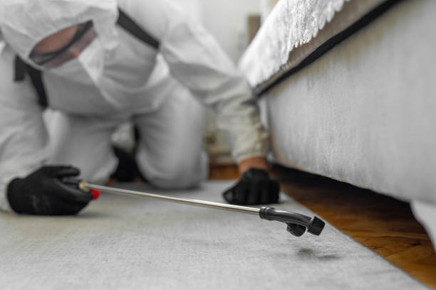 Professional Termite Control technician working in Ludlow, KY