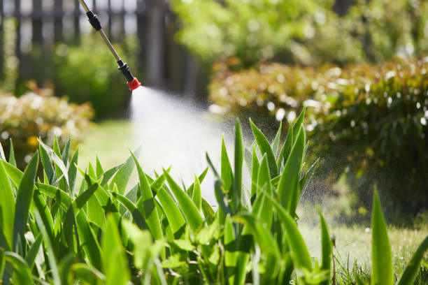 24/7 Emergency Termite Control experts in Ludlow, KY