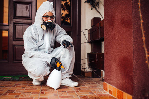 Reliable Termite Control contractor in Ludlow, KY by Nex Pest Control