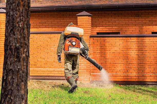 Top rated local Termite Control specialists in Ludlow, KY
